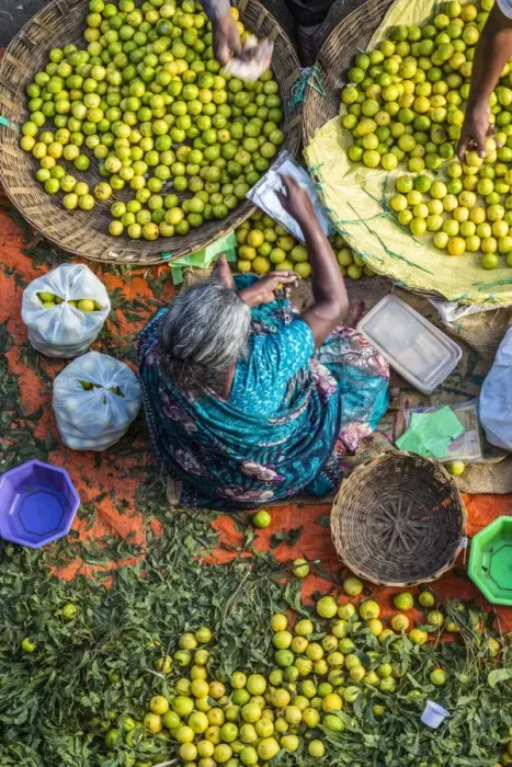 Framed Print : Lemon seller, K. R. market, Bangalore (Bengaluru), Karnataka, India Framed Print : Lemon seller, K. R. market, Bangalore (Bengaluru), Karnataka, India