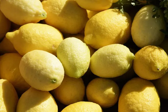 Framed Print : Lemons Framed Print : Lemons