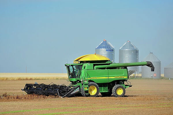 Lentil harvest. Combine and grain bins Land, Saskatchewan, Canada