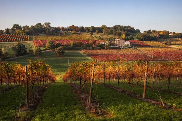 Framed Print : Levizzano Rangone scenery with vineyards, Levizzano Rangone Framed Print : Levizzano Rangone scenery with vineyards, Levizzano Rangone
