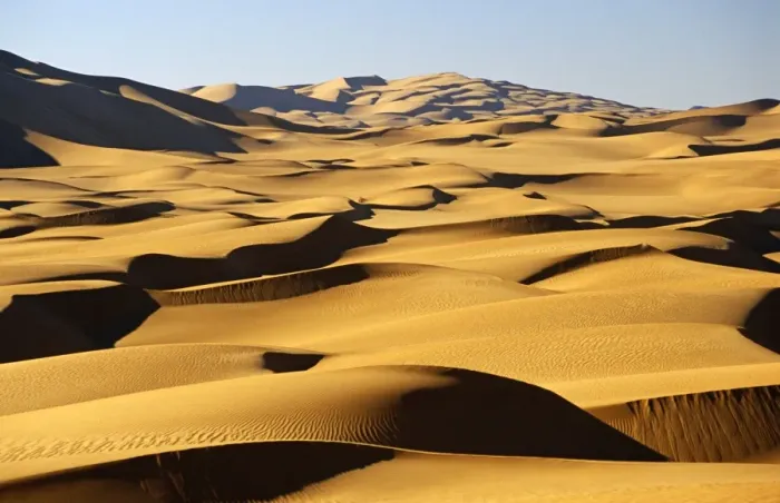 Framed Print : Libya, Fezzan, Edeyen Ubari, near Ubari. Seemingly endless dunes stretch to the horizon in the immense sand sea of Framed Print : Libya, Fezzan, Edeyen Ubari, near Ubari. Seemingly endless dunes stretch to the horizon in the immense sand sea of