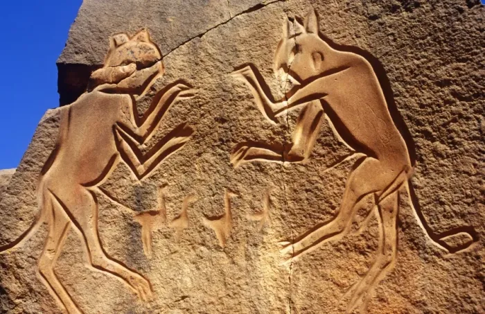 Framed Print : Libya, Fezzan, Messak Settafet. A petroglyph of felines, known as the dancing cats -stands by a ledge high above Framed Print : Libya, Fezzan, Messak Settafet. A petroglyph of felines, known as the dancing cats -stands by a ledge high above