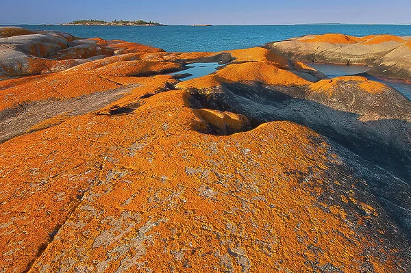 Lichen covered, Glacially eroded Precambrian shield rock on coast islands in Georgian Bay (Lake Huron) near south end of Killarney Provincial Park. Ontario, Canada