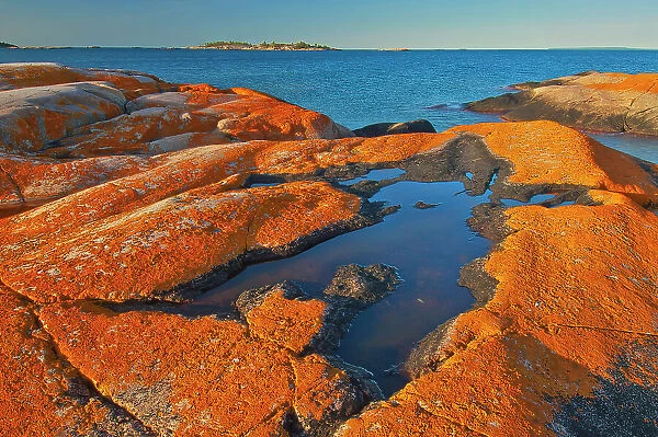 Lichen covered, Glacially eroded Precambrian shield rock on coast islands in Georgian Bay (Lake Huron) near south end of Killarney Provincial Park. South of Philip Edward Island. Adjacent Killarney Provincial Park, Ontario, Canada