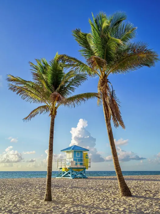 Framed Print : Lifeguardhouse framed by palm trees Hollywood Beach Hollywood Miami, South Florida, USA Framed Print : Lifeguardhouse framed by palm trees Hollywood Beach Hollywood Miami, South Florida, USA