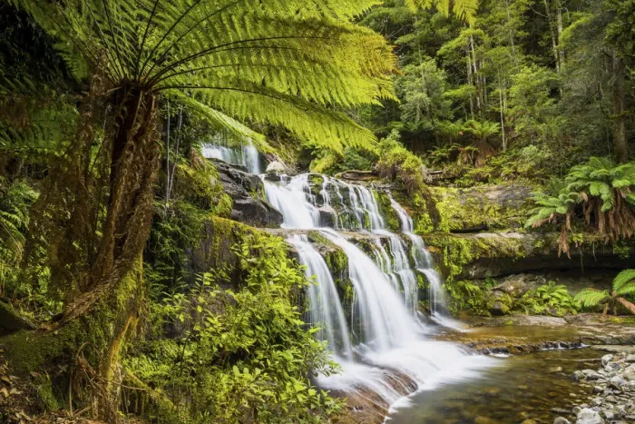 Framed Print : Liffey Falls, Tasmania Framed Print : Liffey Falls, Tasmania