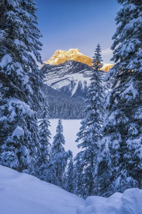 Framed Print : Last Light on The President, Emerald Lake, Yoho National Park, British Columbia, Canada