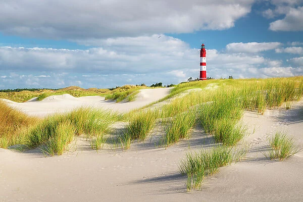 Lighthouse in the dunes, Amrum island, National Park Schleswig-Holsteinisches Wattenmeer, Amrum island, North Sea, North Friesland, Germany, Europe