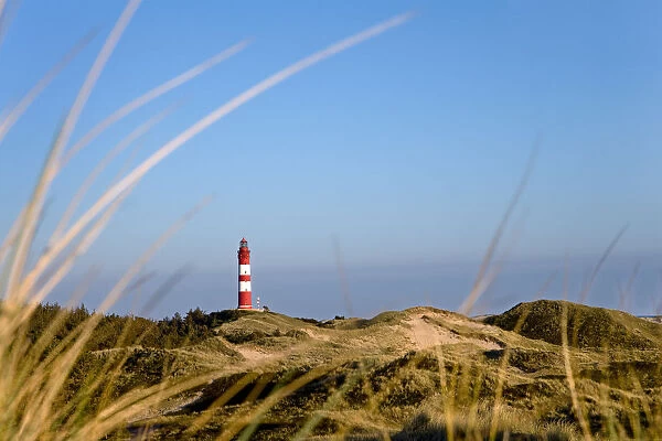 Lighthouse in the dunes, Amrum Island, North Frisian Islands, Schleswig Holstein, Germany