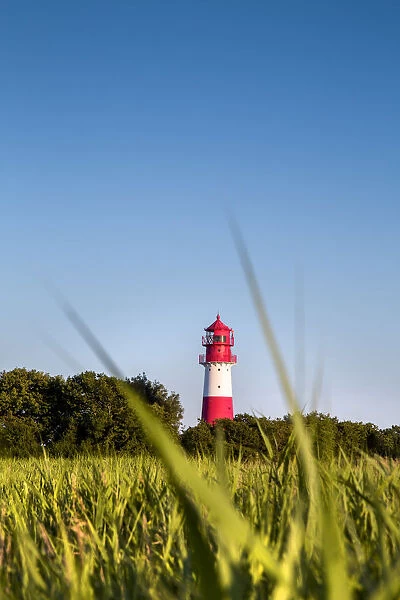 Lighthouse, Falshaoft, Baltic coast, Schleswig-Holstein, Germany