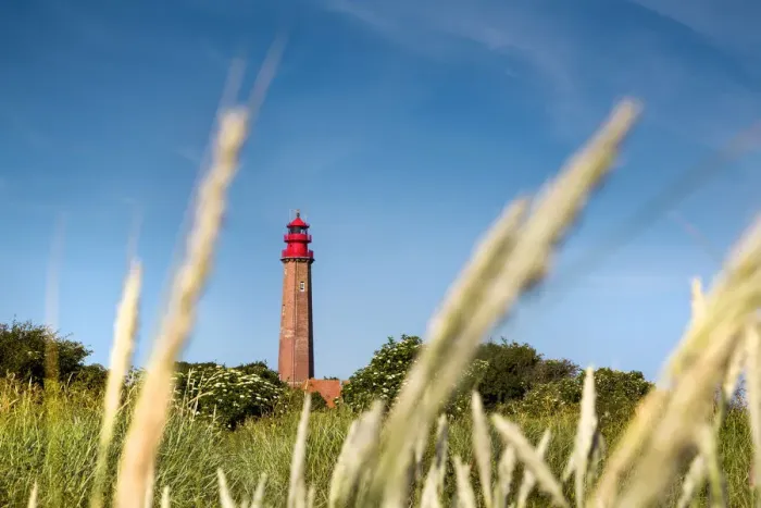 Framed Print : Lighthouse, Flügge, Fehmarn island, Baltic coast, Schleswig-Holstein, Germany Framed Print : Lighthouse, Flügge, Fehmarn island, Baltic coast, Schleswig-Holstein, Germany