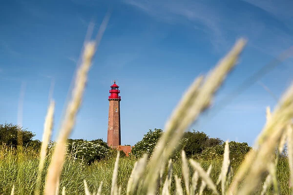 Lighthouse, Flügge, Fehmarn island, Baltic coast, Schleswig-Holstein, Germany