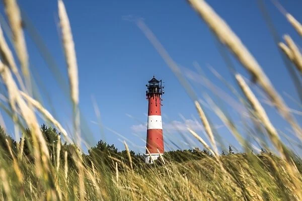 Lighthouse, Hornum, Sylt Island, Northern Frisia, Schleswig-Holstein, Germany