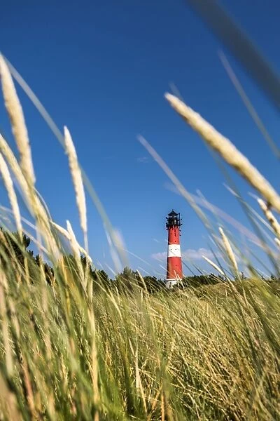 Lighthouse, Hornum, Sylt Island, Northern Frisia, Schleswig-Holstein, Germany