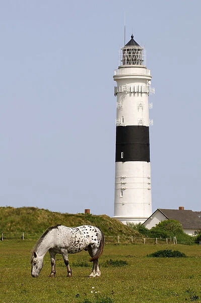 Lighthouse, Kampen, Sylt, Friesland, Schleswig-Holstein, Germany