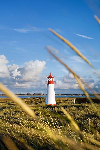 Lighthouse List west, Ellenbogen, Sylt Island, North Frisian Islands, Schleswig Holstein