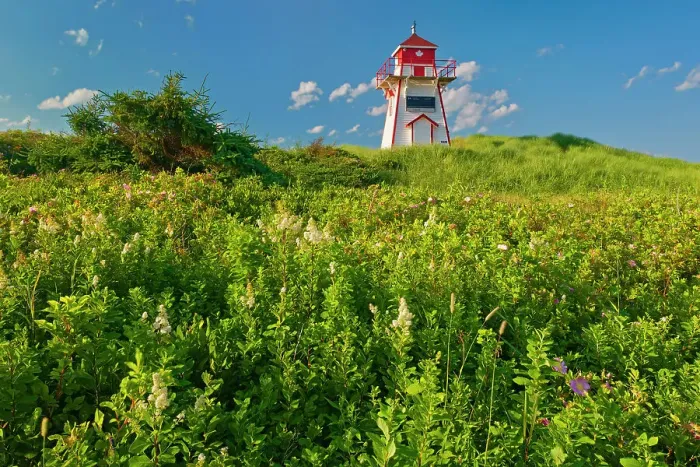 Framed Print : Lighthouse at Stanhope Beach. Covehead Harbour. Prince Edward Island National Park, Prince Edward Island, Canada