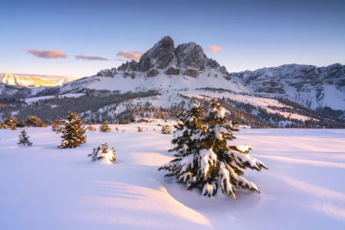 Framed Print : Last lights of sunset on the snowy woods framing Sass De Putia, Passo Delle Erbe Framed Print : Last lights of sunset on the snowy woods framing Sass De Putia, Passo Delle Erbe