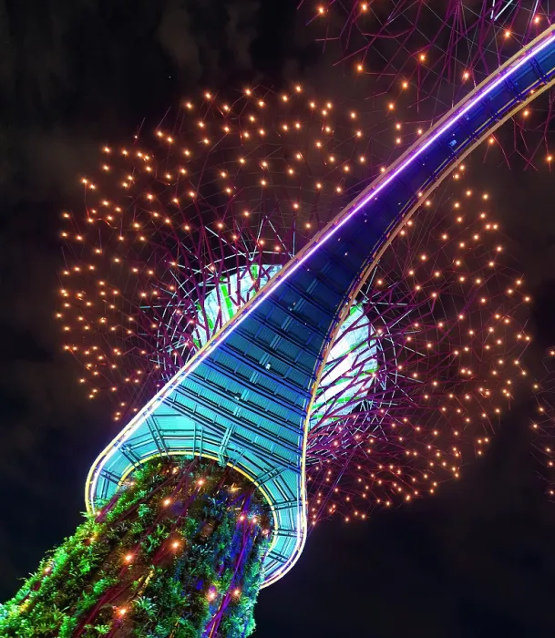 Framed Print : Lightshow in the Supertree Grove, Gardens by the Bay, Singapore