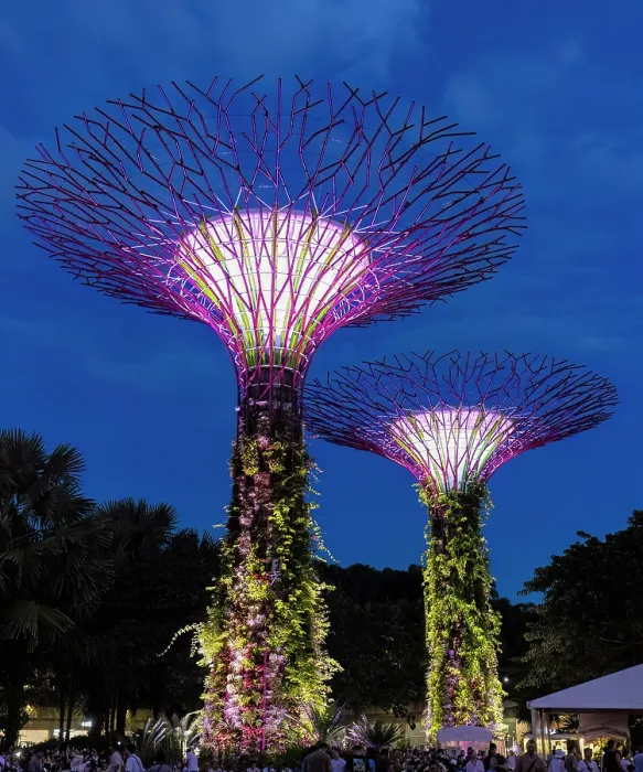 Framed Print : Lightshow in the Supertree Grove, Gardens by the Bay, Singapore Framed Print : Lightshow in the Supertree Grove, Gardens by the Bay, Singapore