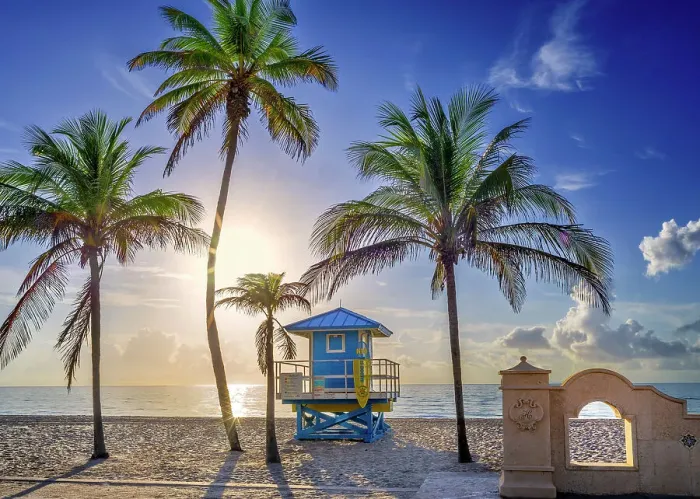 Framed Print : Ligurad Hut surrounded by tropical palm trees, at sunrise Hollywood Beach Hollywood, Miami Beach Florida, USA Framed Print : Ligurad Hut surrounded by tropical palm trees, at sunrise Hollywood Beach Hollywood, Miami Beach Florida, USA