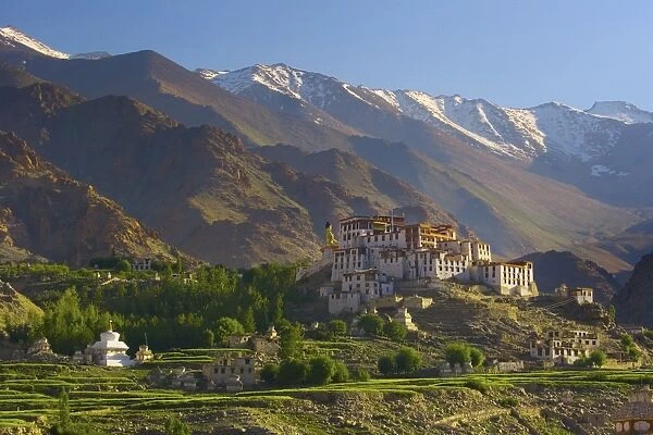 Likir Gompa, Ladakh, India