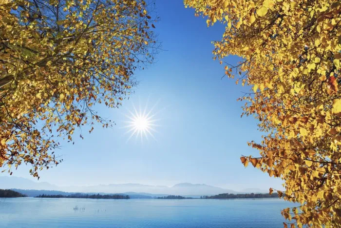Framed Print : Lime tree in autumn and lake - Germany, Bavaria, Upper Bavaria, Garmisch-Partenkirchen Framed Print : Lime tree in autumn and lake - Germany, Bavaria, Upper Bavaria, Garmisch-Partenkirchen