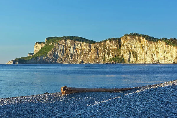 Limestone rcok along Cap Gaspe from Cap-Bon-Ami Forillon National Park, Quebec, Canada