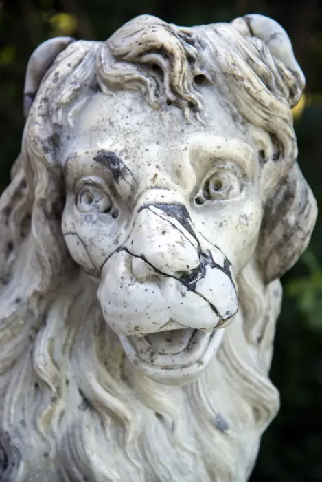 Framed Print : A lion figure in the Pavlovsk Park, Pavlovsk, near St Petersburg, Russia Framed Print : A lion figure in the Pavlovsk Park, Pavlovsk, near St Petersburg, Russia