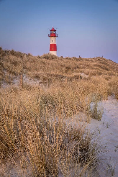 List-Ost lighthouse in the dunes on the Ellenbogen Peninsula, Sylt, Schleswig-Holstein