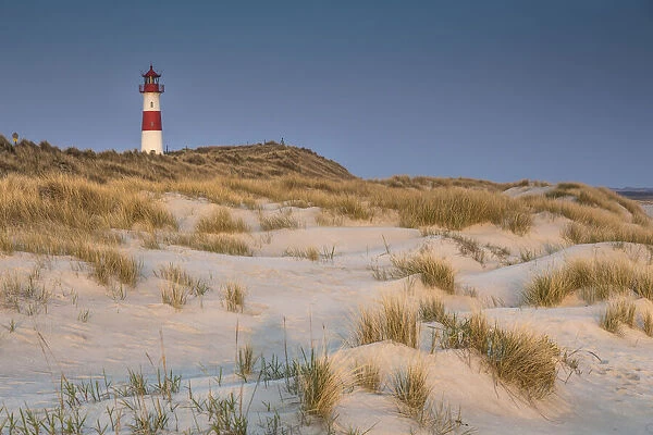 List-Ost lighthouse in the dunes on the Ellenbogen Peninsula, Sylt, Schleswig-Holstein