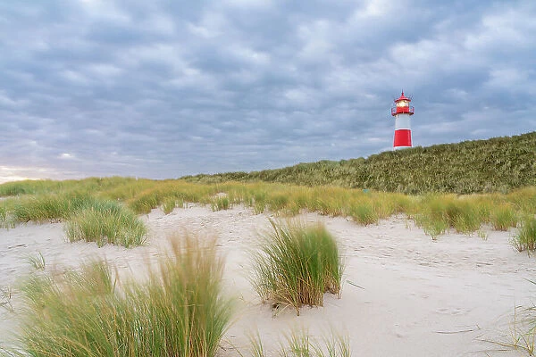 List-Ost lighthouse among grass covered sand dunes, Ellenbogen, Sylt, Nordfriesland, Schleswig-Holstein, Germany