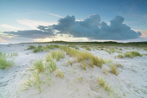 List-Ost lighthouse among grass covered sand dunes at sunrise, Ellenbogen, Sylt, Nordfriesland, Schleswig-Holstein, Germany