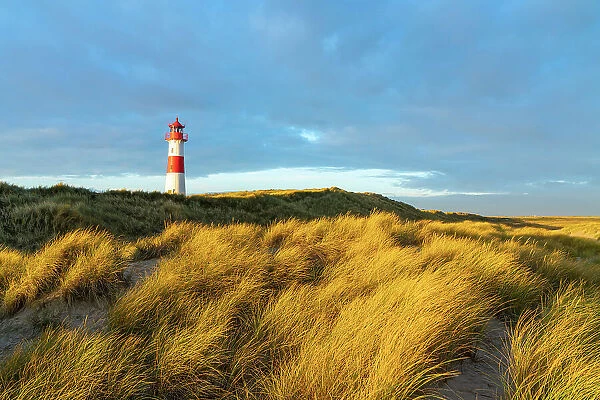 List-Ost lighthouse at sunrise, Ellenbogen, Sylt, Nordfriesland, Schleswig-Holstein, Germany