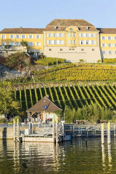 Little harbour and the town winery. Meersburg, Baden-Wurttemberg, Germany