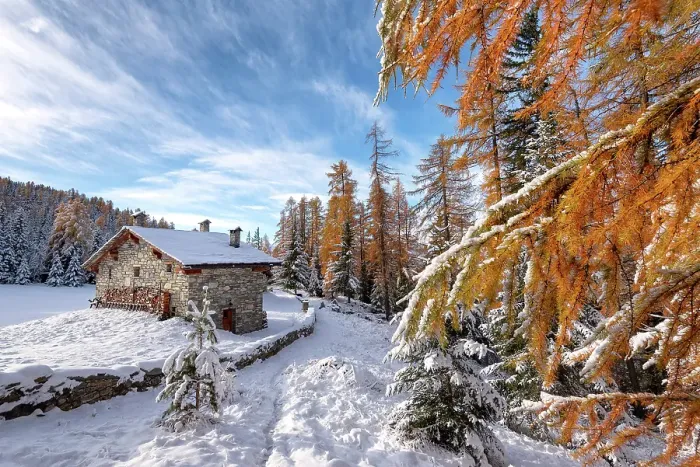 Framed Print : Little house in a woodland after snowfall during autumn season, Valmalenco, Sondrio province, Valtellina, Lombardy, Italy Framed Print : Little house in a woodland after snowfall during autumn season, Valmalenco, Sondrio province, Valtellina, Lombardy, Italy