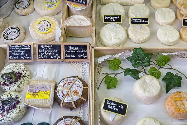 Local cheeses on sale in a gastronomy shop, LaaIsle-sur-la-Sorgue, Provence, France