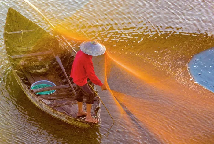 Framed Print : Local fisherman checking his net, Cua Dai village, near Hoi An, Central Vietnam, Asia Framed Print : Local fisherman checking his net, Cua Dai village, near Hoi An, Central Vietnam, Asia