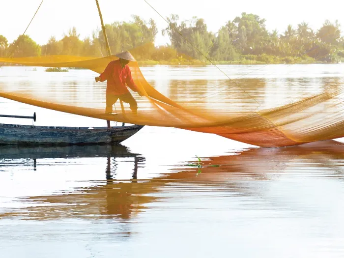 Framed Print : Local fisherman checking his net, Cua Dai village, near Hoi An, Central Vietnam, Asia Framed Print : Local fisherman checking his net, Cua Dai village, near Hoi An, Central Vietnam, Asia