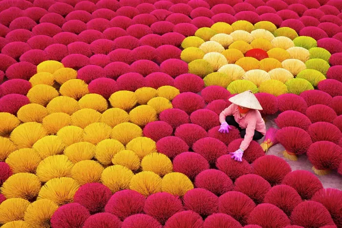 Framed Print : Local woman laying out colourful Incense sticks to dry, Quang Phu Cau village, near Hanoi, Vietnam Framed Print : Local woman laying out colourful Incense sticks to dry, Quang Phu Cau village, near Hanoi, Vietnam