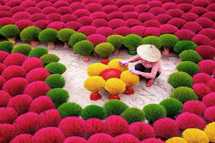 Framed Print : Local woman laying out colourful Incense sticks to dry, Quang Phu Cau village, near Hanoi, Vietnam Framed Print : Local woman laying out colourful Incense sticks to dry, Quang Phu Cau village, near Hanoi, Vietnam