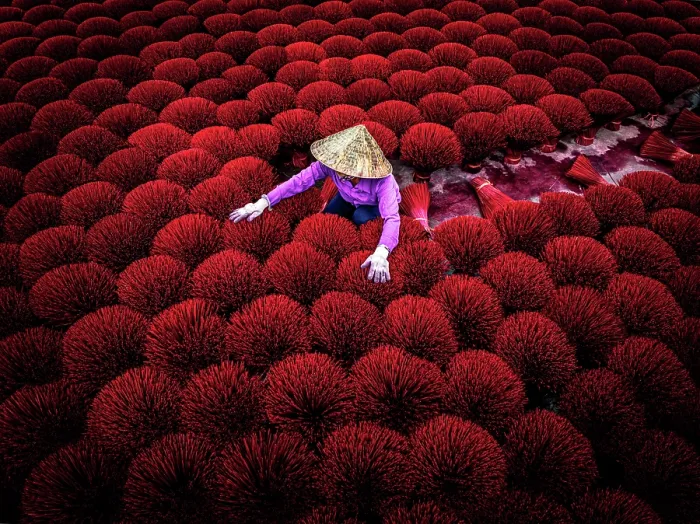 Framed Print : Local worker drying red incense sticks, Hanoi, Vietnam. (MR) Framed Print : Local worker drying red incense sticks, Hanoi, Vietnam. (MR)