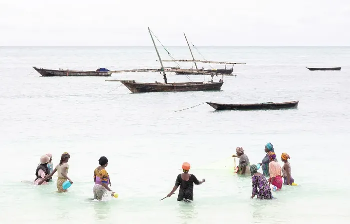 Framed Print : Localm women fishing in shallow water with a net, Nungwi, Zanzibar, Tanzania Framed Print : Localm women fishing in shallow water with a net, Nungwi, Zanzibar, Tanzania