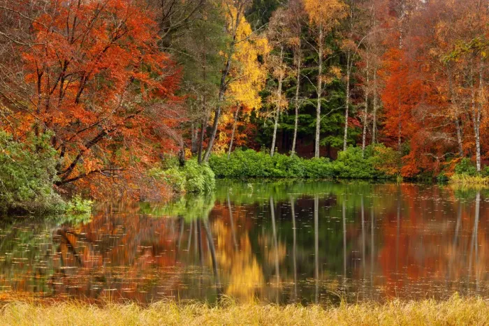 Framed Print : Loch Dunmore Reflections in Autumn, Pitlochry, Tayside Region, Scotland Framed Print : Loch Dunmore Reflections in Autumn, Pitlochry, Tayside Region, Scotland