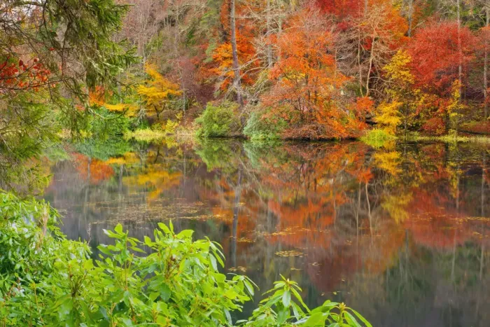 Framed Print : Loch Dunmore Reflections in Autumn, Pitlochry, Tayside Region, Scotland Framed Print : Loch Dunmore Reflections in Autumn, Pitlochry, Tayside Region, Scotland