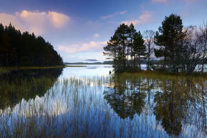 Framed Print : Loch Garten Reflections, Highland Region, Scotland Framed Print : Loch Garten Reflections, Highland Region, Scotland