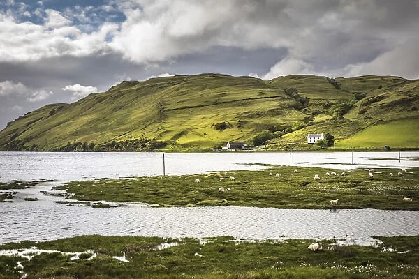Loch Harport, Drynoch, Isle of Skye, Highlands, Scotland, Great Britain