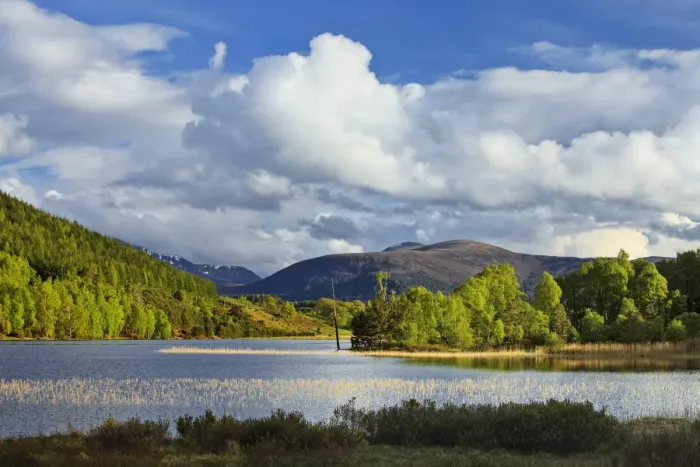 Framed Print : Loch Pityoulish, Rothiemurchus Estate, Aviemore, Scotland Framed Print : Loch Pityoulish, Rothiemurchus Estate, Aviemore, Scotland