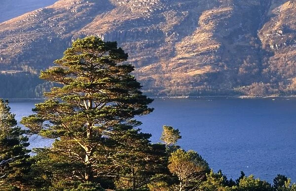 Loch Torridon, Wester Ross, Scotland