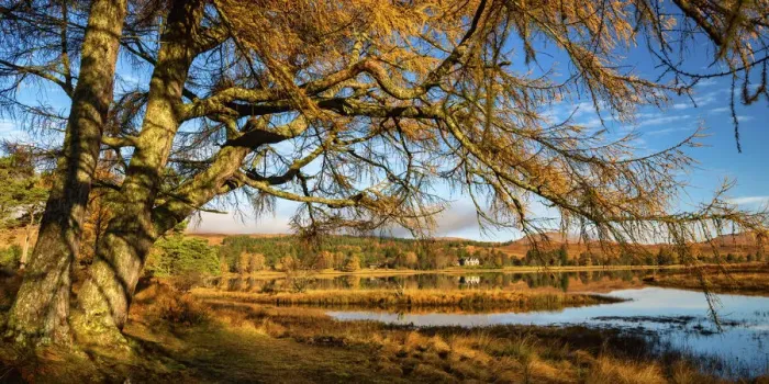 Framed Print : Loch Tulla in Autumn, Argyll & Bute, Scotland Framed Print : Loch Tulla in Autumn, Argyll & Bute, Scotland